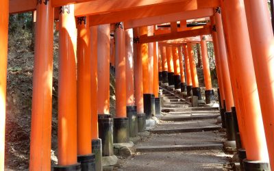 Fushimi Inari-Taisha Shrine and Saiho-ji (Moss Temple)
