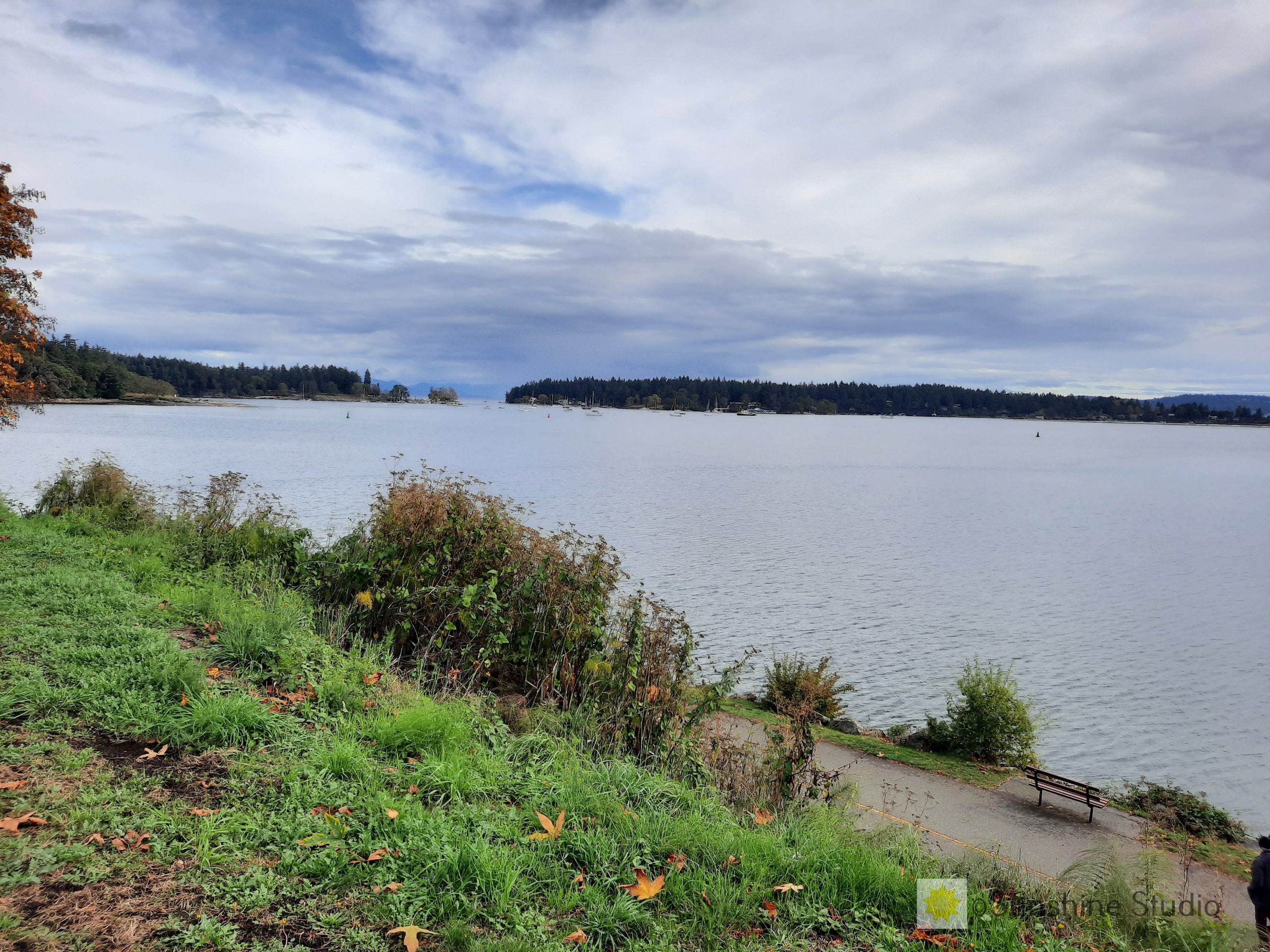 Nanaimo Harbour